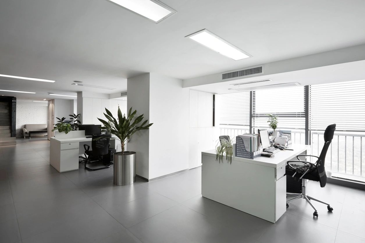 A white office with a plant and desk